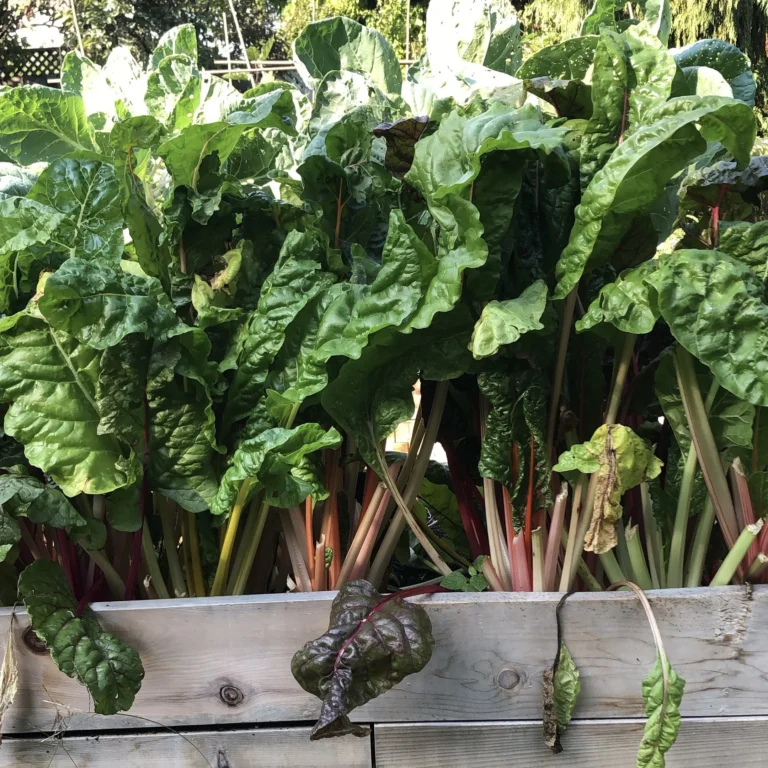 Sharing the Bounty