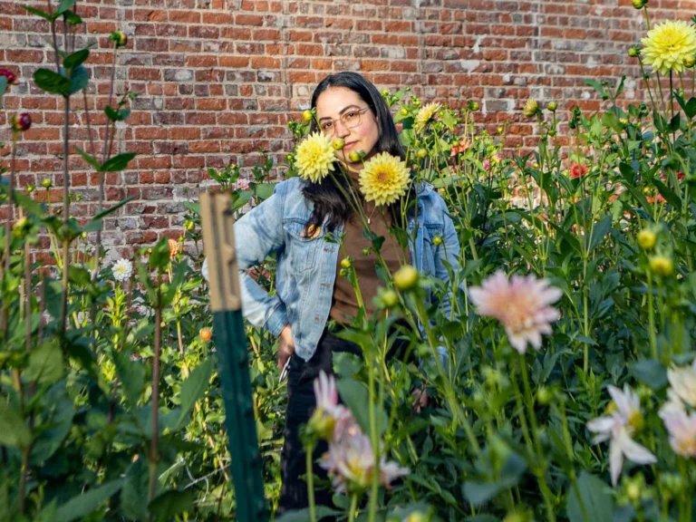 A Flower Farm Takes Root