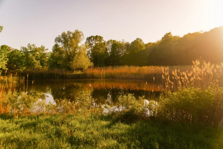 Room to Breathe: Designing with a Sense of Place in the Hudson Valley