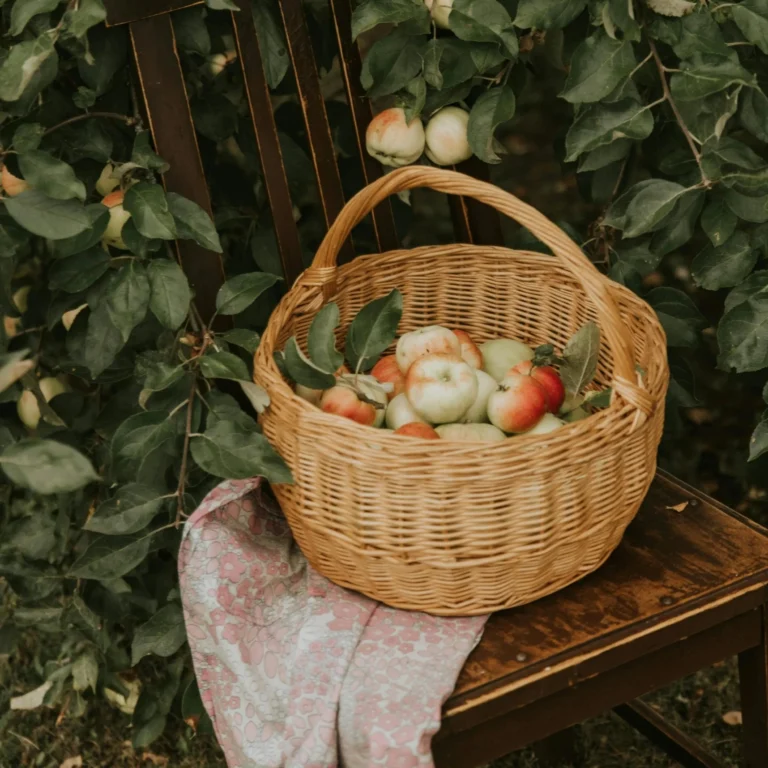 A Hudson Valley Love Letter to Four Remarkable Apples