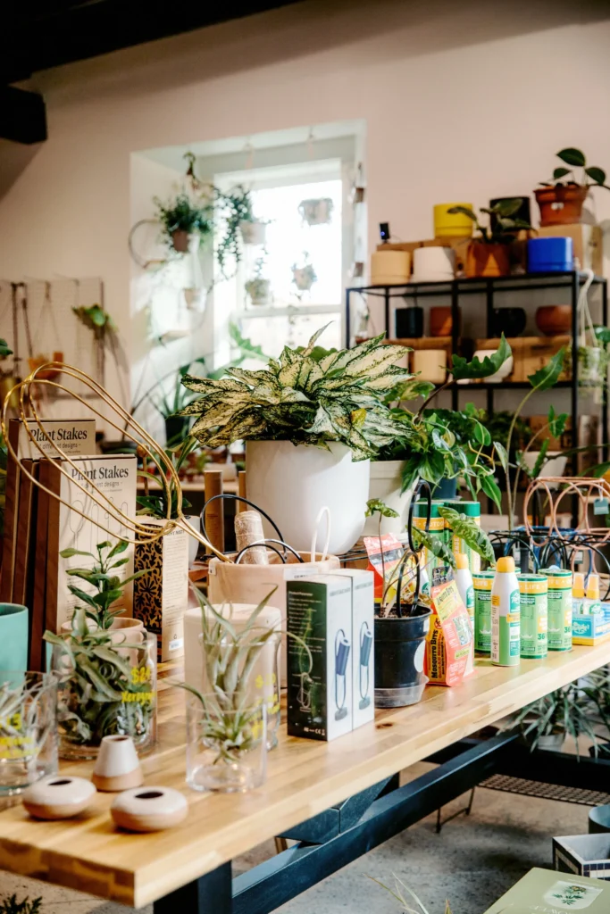 A Flower Farm Takes Root (photo 1 of 3)